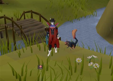 Dark squirrel osrs. Things To Know About Dark squirrel osrs. 